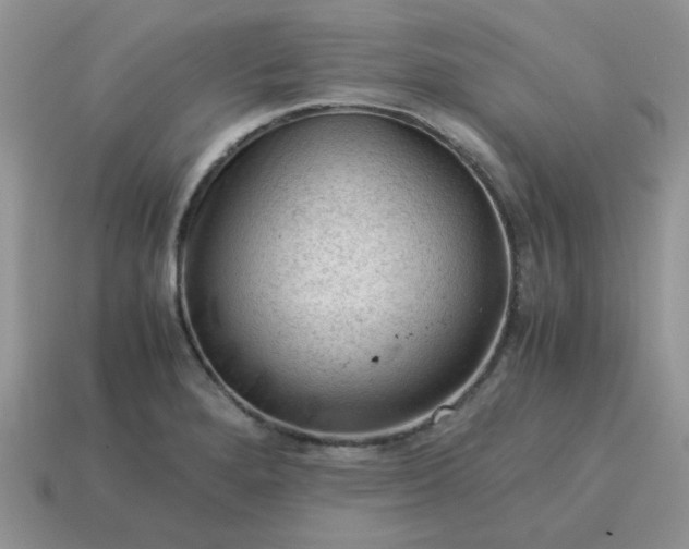 X0000115061280200911091438