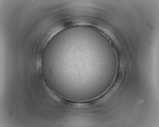X0000115061281200911091438