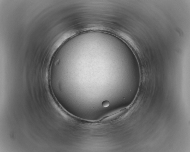 X0000115061282200911091438