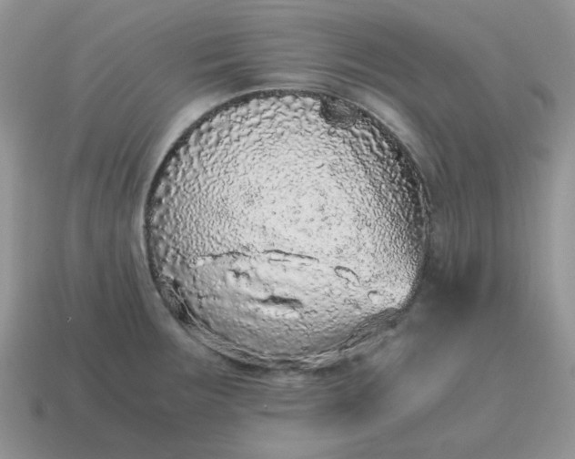 X0000115061283200911091438