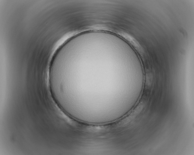 X0000115061286200911091438