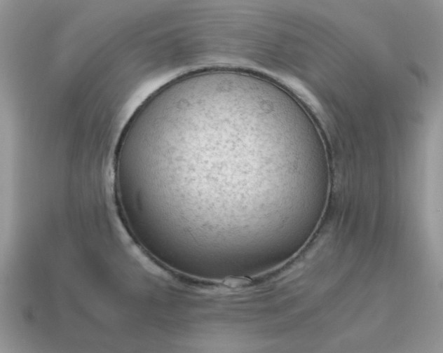 X0000115061287200911091438