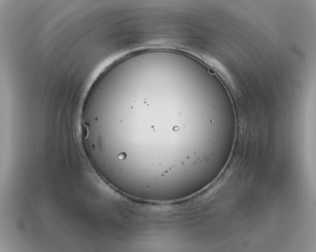 X0000115061288200911091438