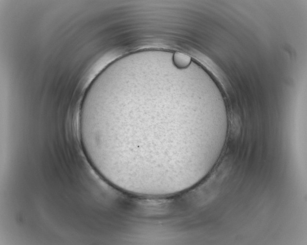 X0000115061290200911091438
