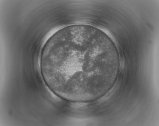 X0000115061294200911091438