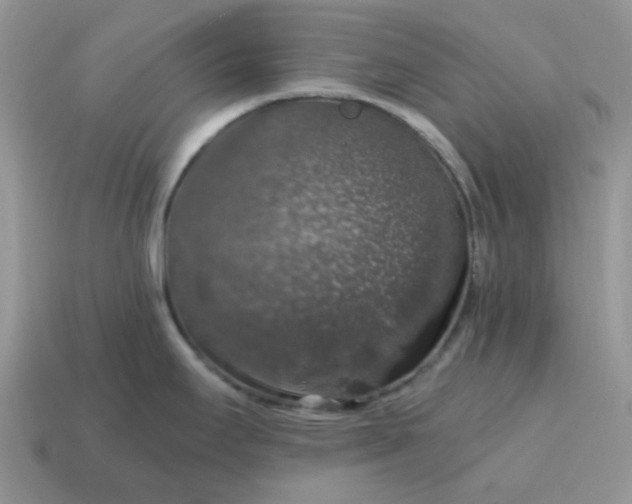 X0000115061295200911091438