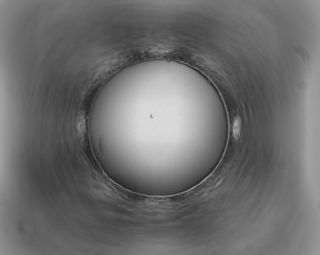 X0000115061299200911091437