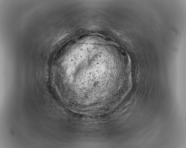 X0000115061301200911091437