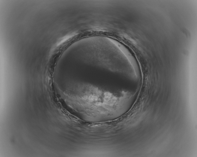X0000115061303200911091438