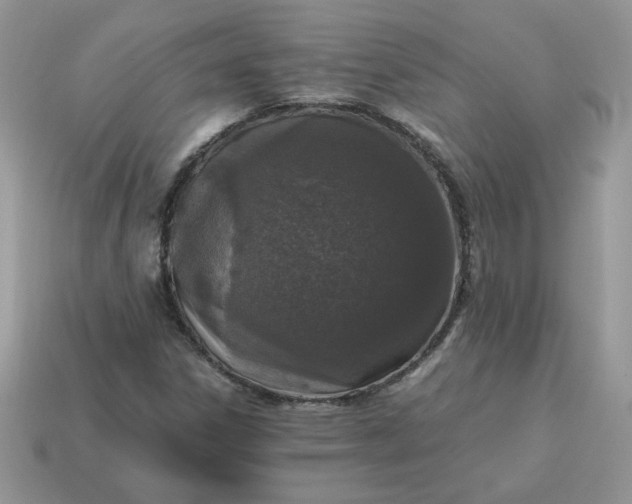 X0000115061306200911091438