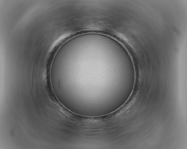 X0000115061307200911091438