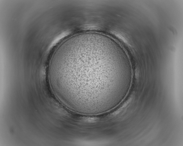 X0000115061309200911091438