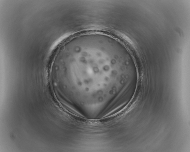 X0000115061310200911091438
