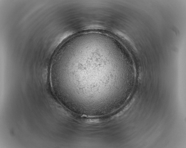X0000115061313200911091438