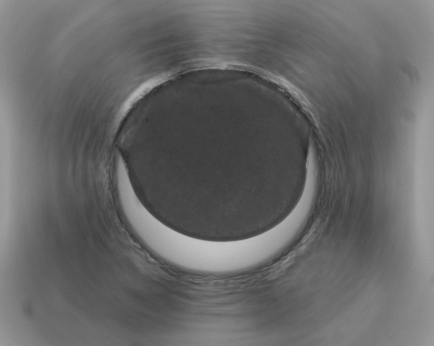 X0000115061314200911091438