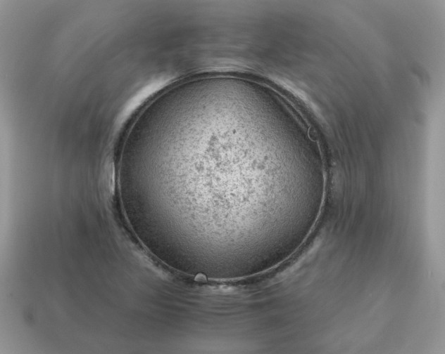 X0000115061317200911091438