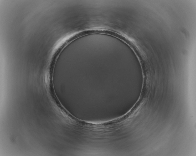X0000115061319200911091438