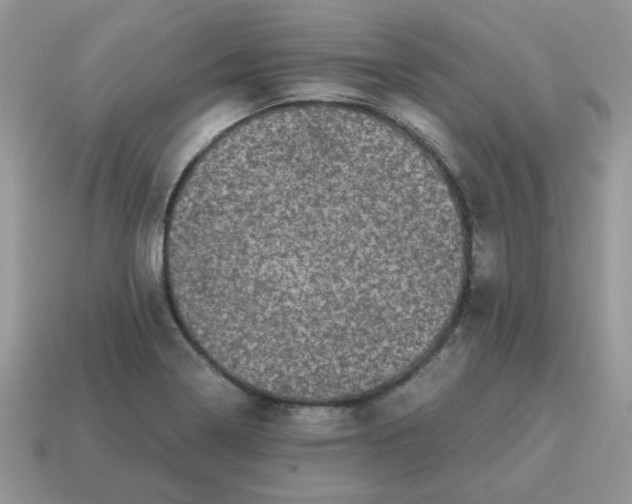 X0000115061322200911091438