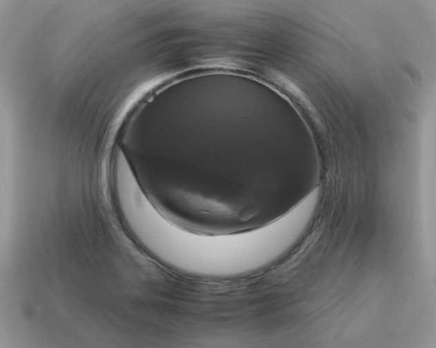 X0000115061323200911091438