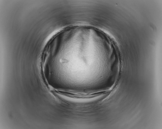 X0000115061325200911091438