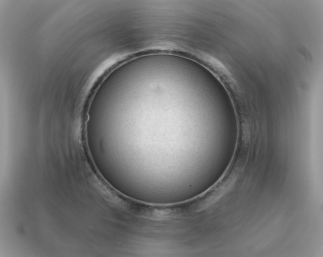 X0000115061326200911091438