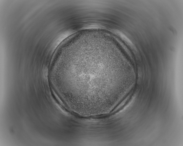 X0000115061329200911091438