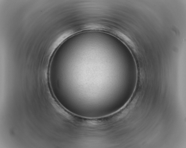 X0000115061330200911091438