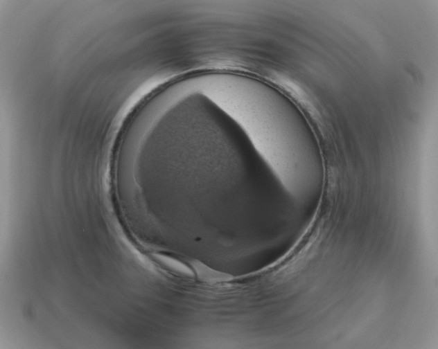 X0000115061331200911091438