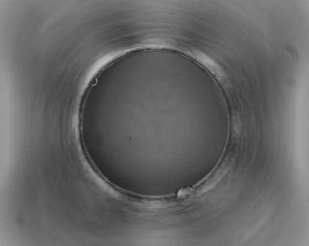 X0000115061334200911091438