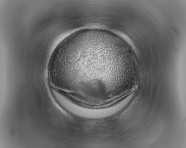 X0000115061335200911091438