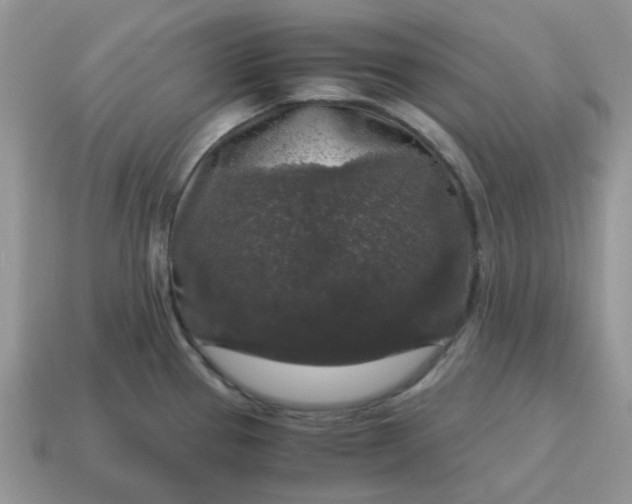 X0000115061337200911091438