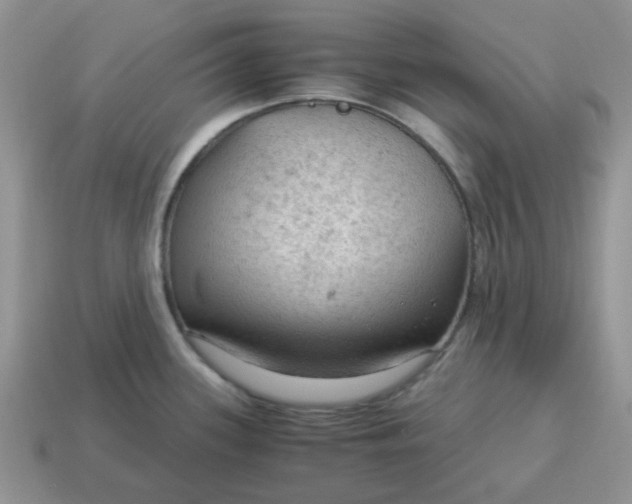 X0000115061339200911091438