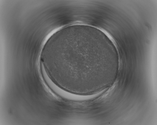 X0000115061341200911091438