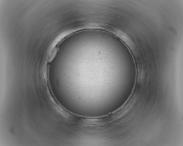 X0000115061342200911091438