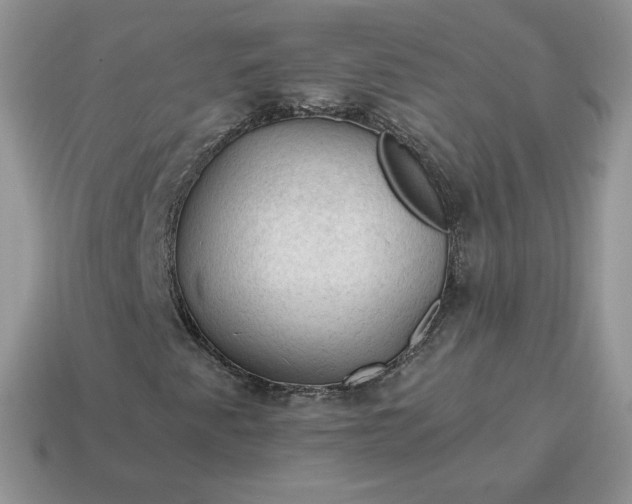 X0000115061345200911091437
