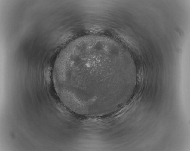 X0000115061346200911091437