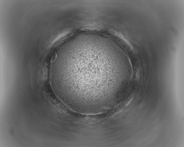X0000115061350200911091437