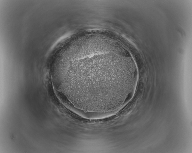 X0000115061351200911091437