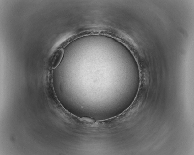 X0000115061352200911091437