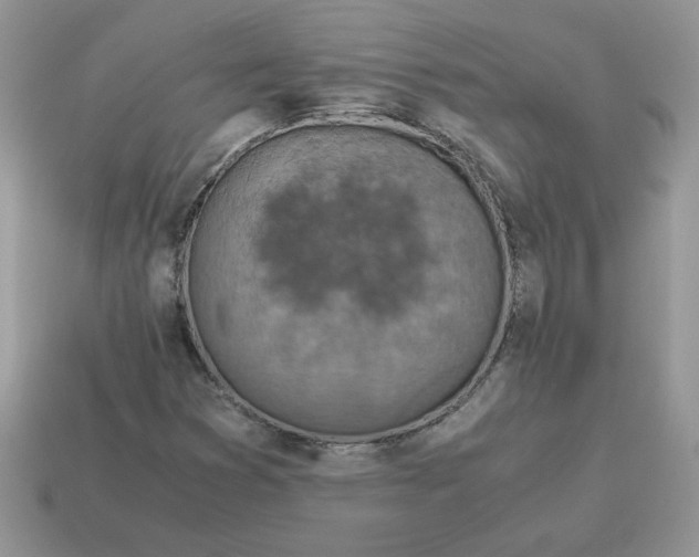 X0000115061353200911091437