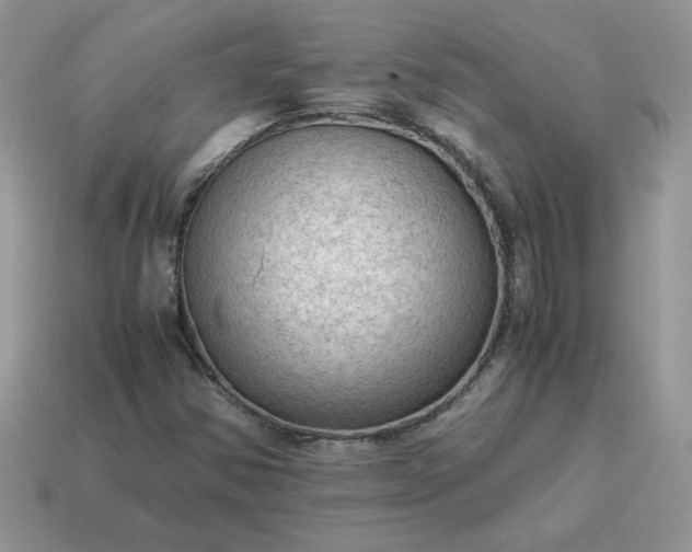 X0000115061354200911091437