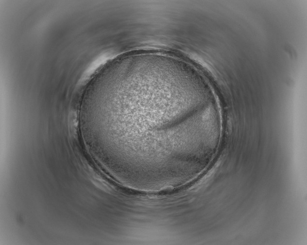 X0000115061355200911091437