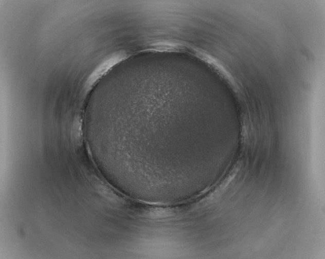 X0000115061362200911091437