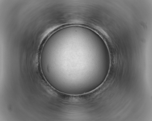 X0000115061364200911091437