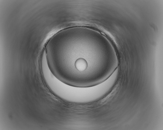 X0000115061365200911091437