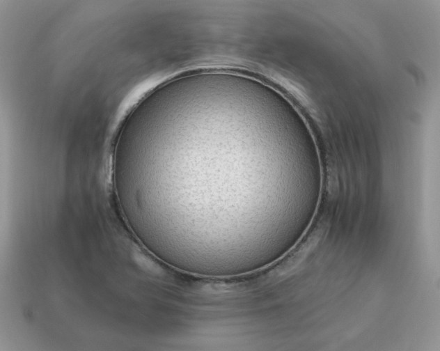 X0000115061366200911091437