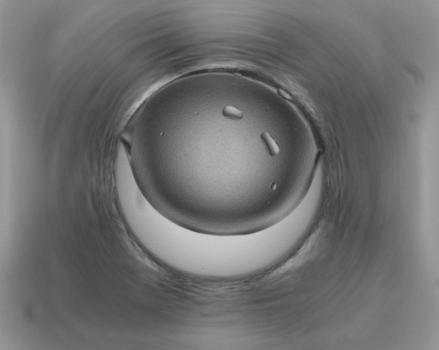 X0000115061369200911091437