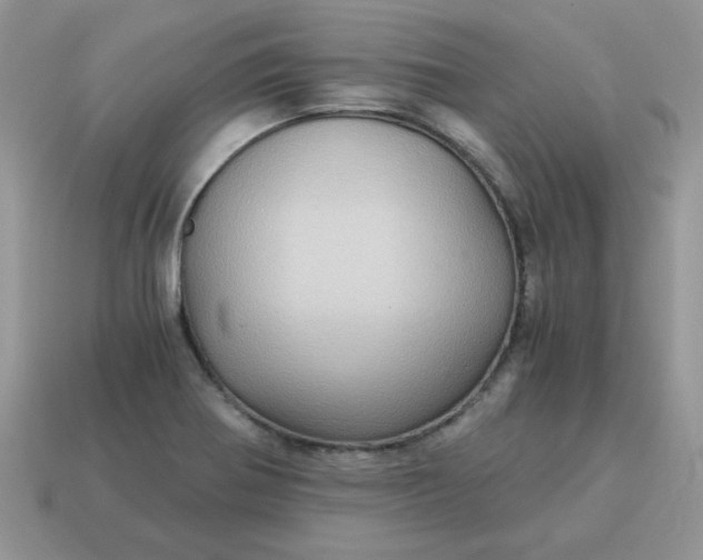 X0000115061370200911091437