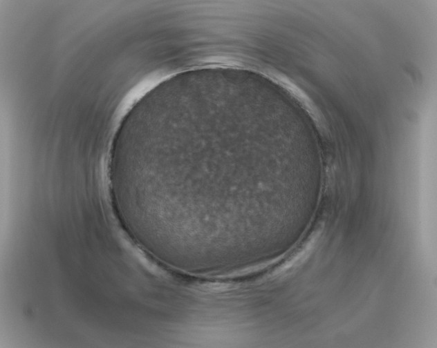 X0000115061373200911091437