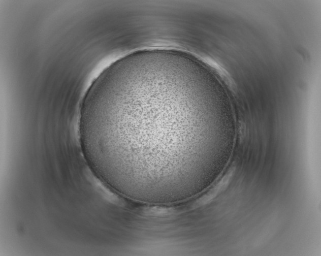 X0000115061374200911091437